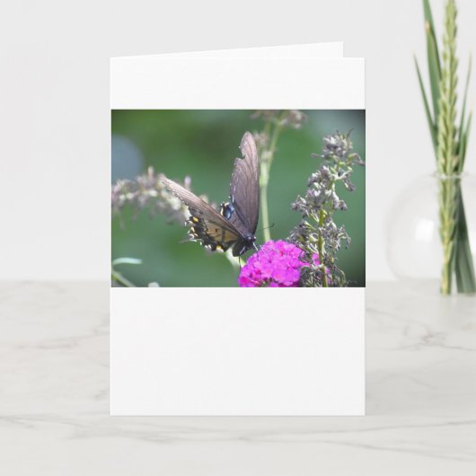 Vlinder, kaart (Voorkant)