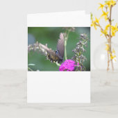 Vlinder, kaart (Gele Bloem)