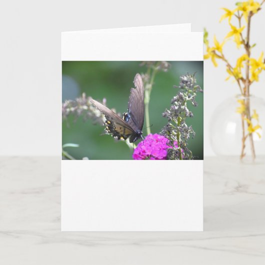 Vlinder, kaart (Gele Bloem)