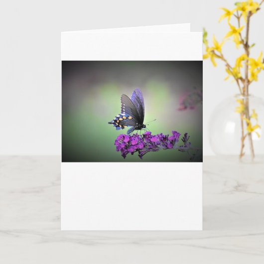 Vlinder, kaart (Gele Bloem)