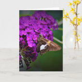 Vlinder, kaart (Gele Bloem)