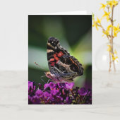 Vlinder, kaart (Gele Bloem)