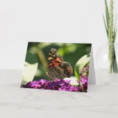 Vlinder, kaart (Voorkant)