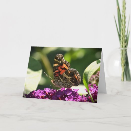 Vlinder, kaart (Voorkant)