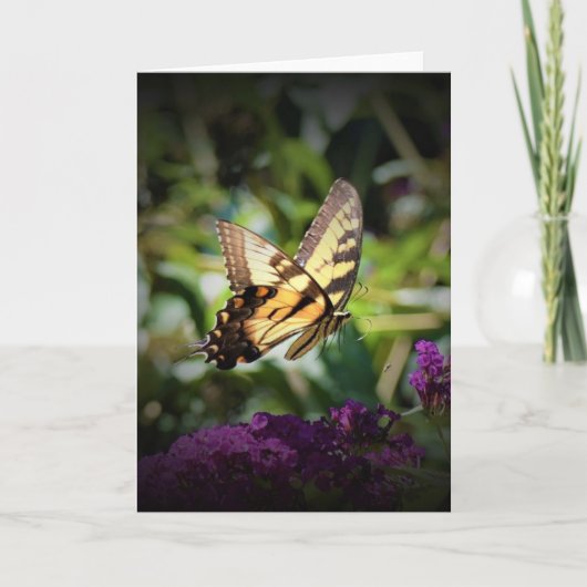 Vlinder, kaart (Voorkant)