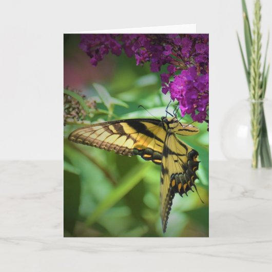 Vlinder, kaart (Voorkant)