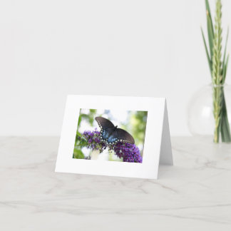 Vlinder Kaart