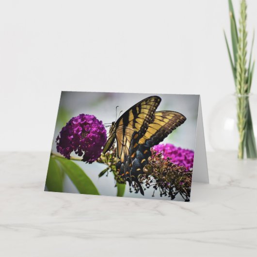 Vlinder, kaart (Voorkant)