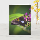 Vlinder, kaart (Gele Bloem)