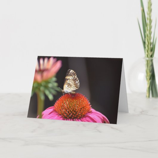 Vlinder, kaart (Voorkant)