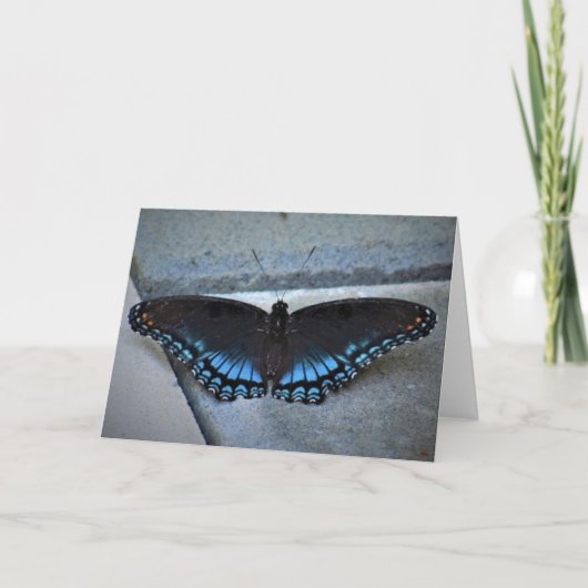Vlinder, kaart (Voorkant)
