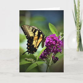Vlinder, kaart