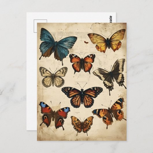 Vlinder Kaleidoscoop:  Briefkaart (Voorkant / Achterkant)