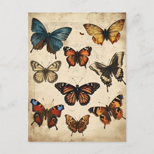 Vlinder Kaleidoscoop:  Briefkaart (Voorkant)