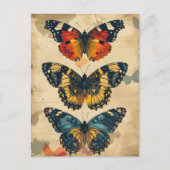 Vlinder Kaleidoscoop:  Briefkaart (Voorkant)