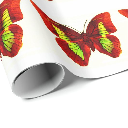 Vlinder Kleurrijk Kunstwerk Verpakkend Document Cadeaupapier (Rol Hoek)
