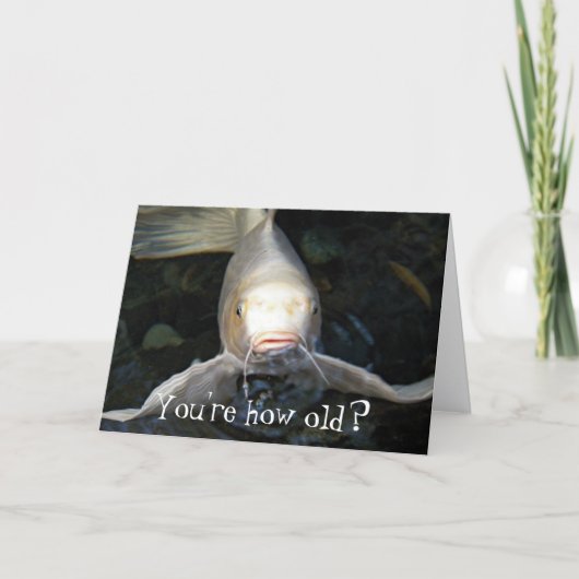 Vlinder Koi Foto Grappige Verjaardag Kaart (Voorkant)