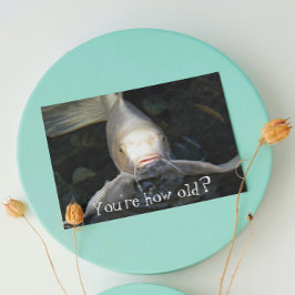 Vlinder Koi Foto Grappige Verjaardag Kaart