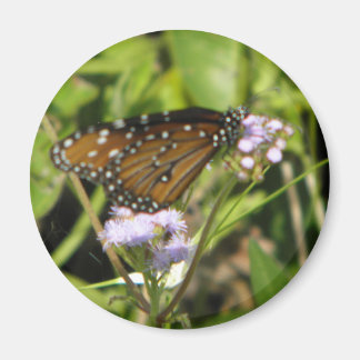Vlinder landt op een bloem magneet
