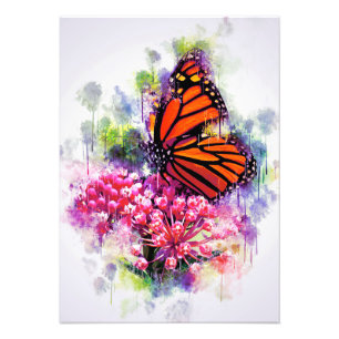 Vlinder Liefhebber Monarch Vlinder Foto Afdruk