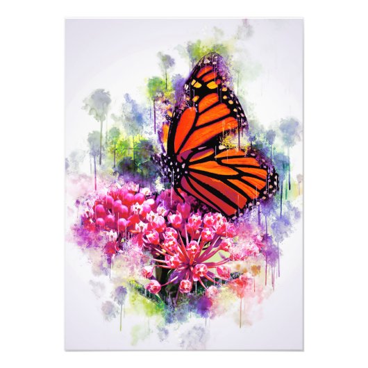 Vlinder Liefhebber Monarch Vlinder Foto Afdruk (Voorkant)