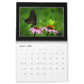 Vlinder Maandkalender Door Thomas Minutolo Kalender (Mar 2027)