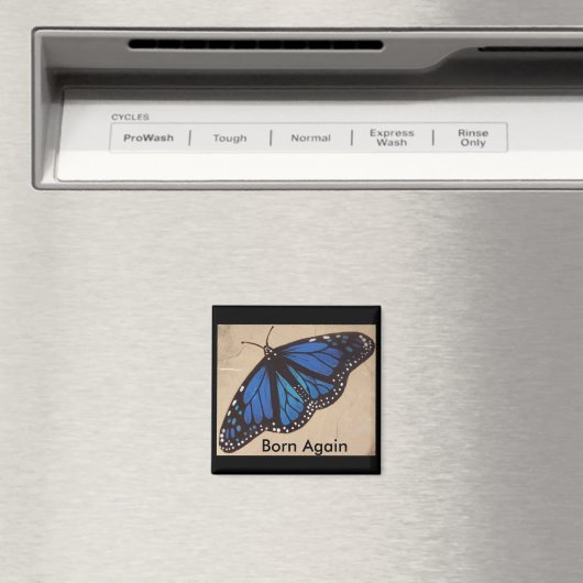 vlinder... magneet (Insitu (Vaatwasser))