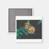 vlinder magneet (Voorkant / Achterkant)