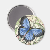  vlinder magneet (Voorkant / Achterkant)