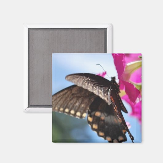 vlinder magneet (Voorkant / Achterkant)