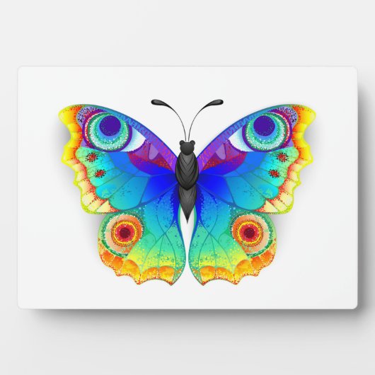 Vlinder met pauwenogen in regenboogkleuren fotoplaat (voorkant)