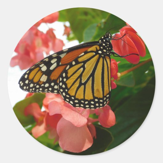 Vlinder met Rode Bloemen Ronde Sticker (Voorkant)