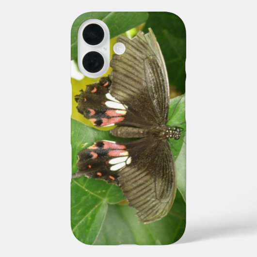 Vlinder met scharlaken staart Case-Mate iPhone case (Achterkant)