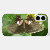 Vlinder met scharlaken staart Case-Mate iPhone case (Achterkant (horizontaal))