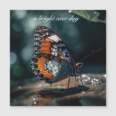 Vlinder met waterreflectie in het zonlicht (Voorkant)