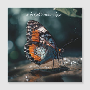 Vlinder met waterreflectie in het zonlicht