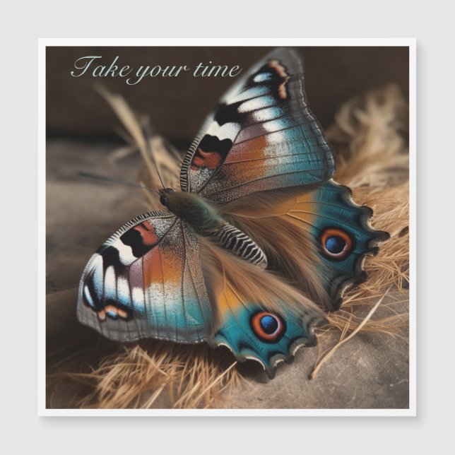 Vlinder met zebra design body (Voorkant)