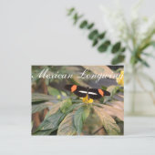 Vlinder Mexicaanse Longwing # 1 Briefkaart (Staand voorkant)