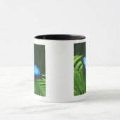 vlinder mok (Midden)