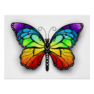Vlinder Monarch regenboog Perfect Poster