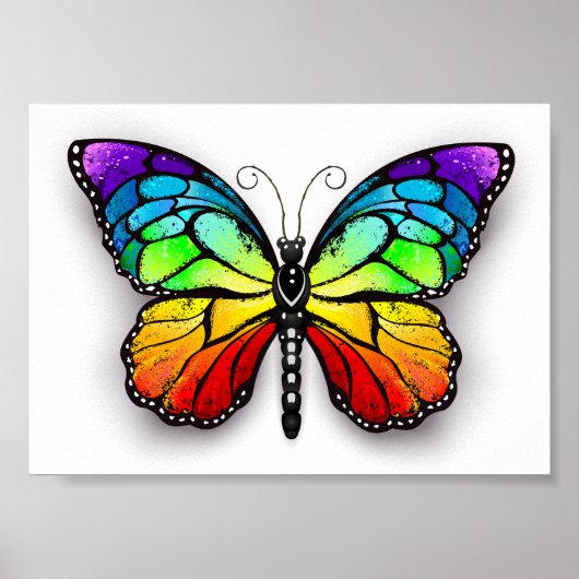 Vlinder Monarch Zonnebloem Poster (Voorkant)