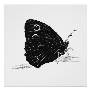 Vlinder monochrome print / poster