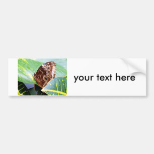 vlinder mot bruin lichtbruin afbeelding insect bumpersticker