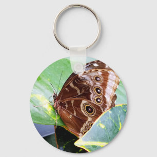 vlinder mot bruin lichtbruin afbeelding insect sleutelhanger