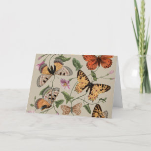 Vlinder Mot Natuur Collectie Tekening Bedankkaart