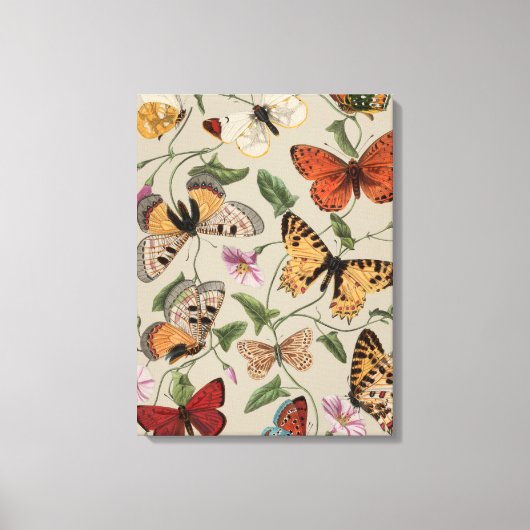 Vlinder Mot Natuur Collectie Tekening Canvas Afdruk (Voorkant)