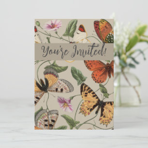 Vlinder Mot Natuur Collectie Tekening Kaart