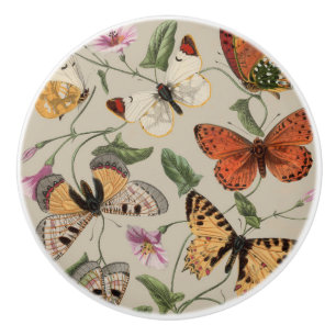 Vlinder Mot Natuur Collectie Tekening Keramische Knop