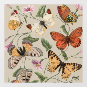 Vlinder Mot Natuur Collectie Tekening Raamsticker
