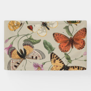 Vlinder Mot Natuur Collectie Tekening Spandoek
